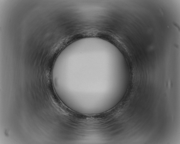 X0000103950641200809191211
