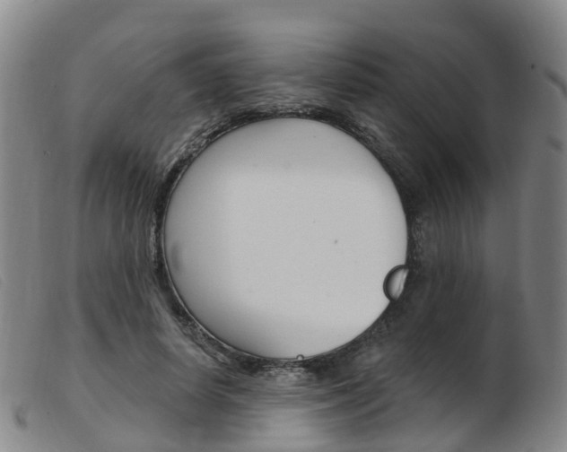 X0000103950642200809191211
