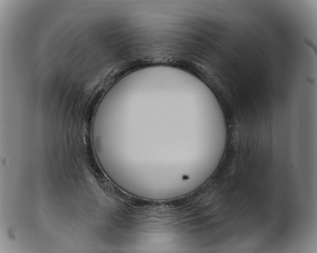 X0000103950643200809191211