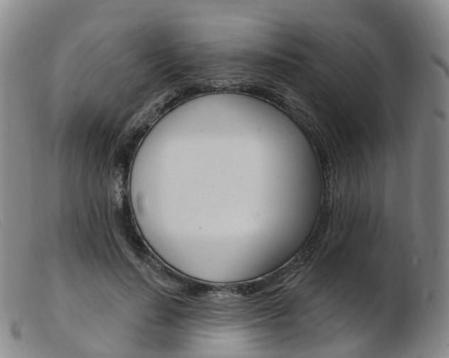 X0000103950644200809191211