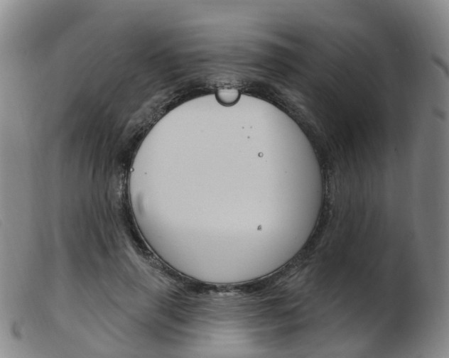 X0000103950645200809191211