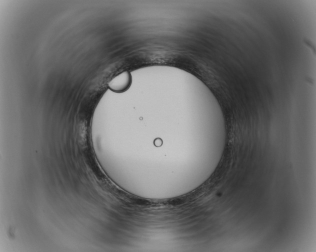 X0000103950646200809191211