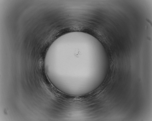 X0000103950647200809191211