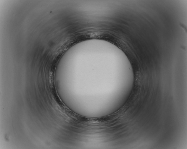 X0000103950650200809191212