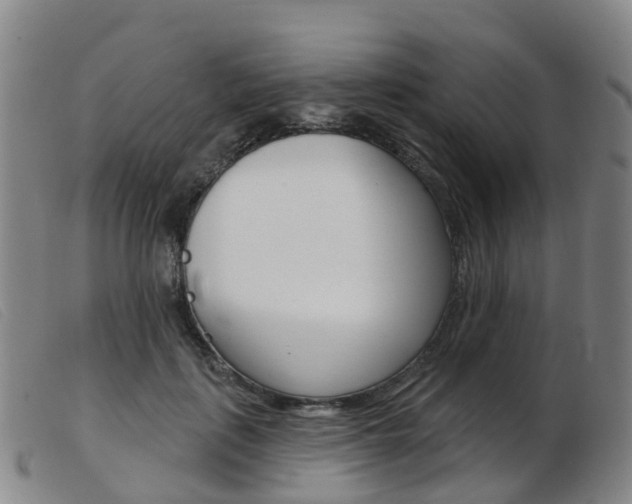 X0000103950651200809191212