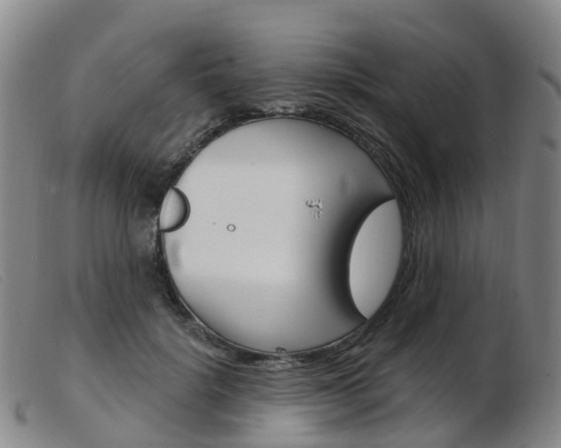 X0000103950652200809191212