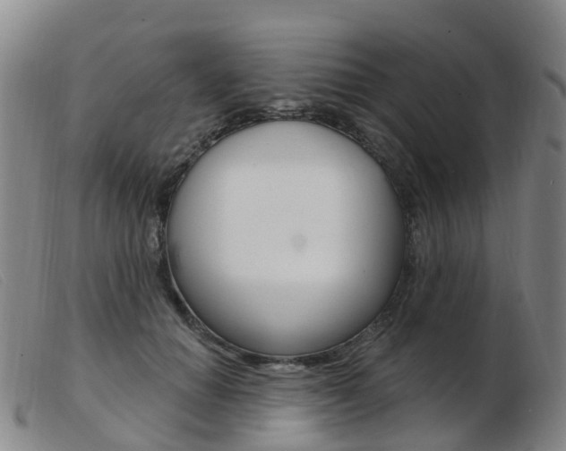 X0000103950654200809191212