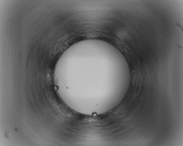 X0000103950655200809191212