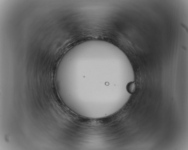 X0000103950656200809191212