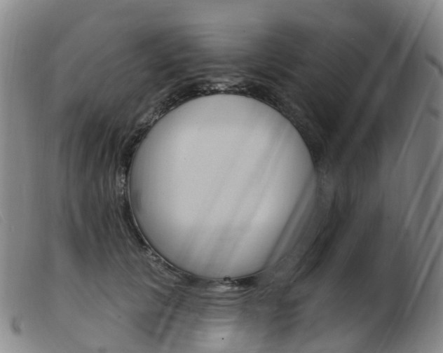 X0000103950657200809191212