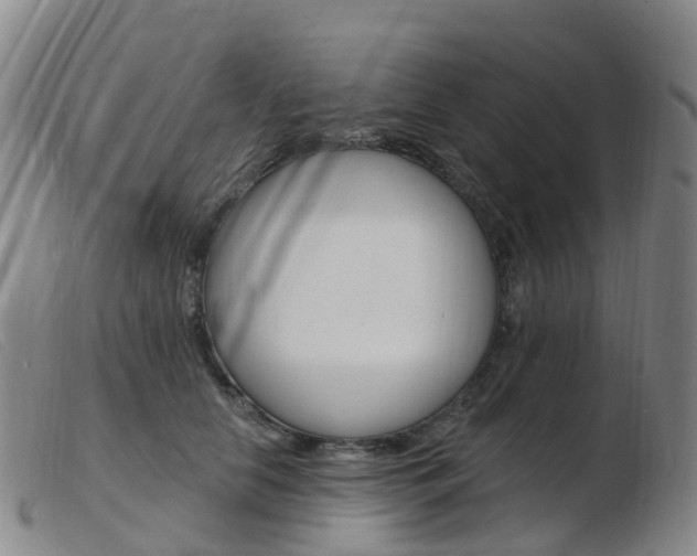 X0000103950658200809191212