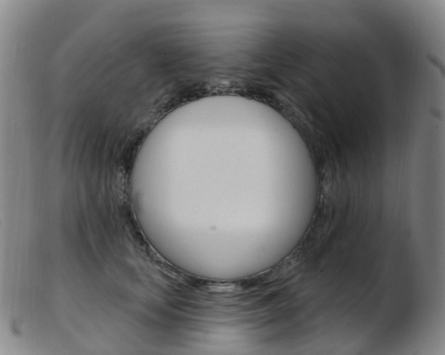 X0000103950659200809191212