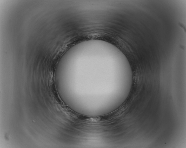 X0000103950660200809191212