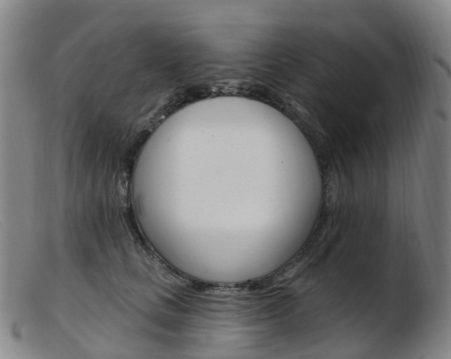 X0000103950661200809191212