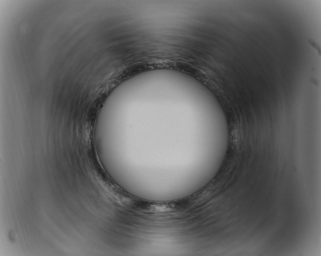 X0000103950662200809191212