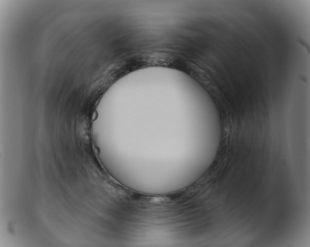 X0000103950663200809191212