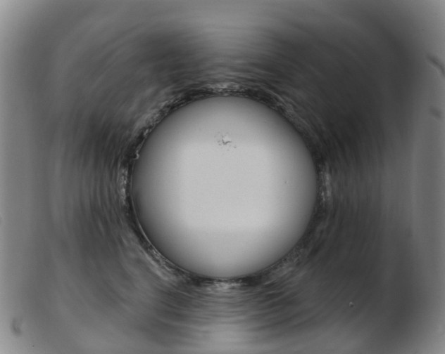 X0000103950664200809191212