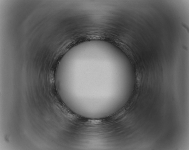 X0000103950665200809191212