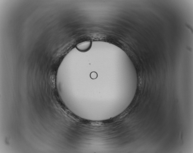 X0000103950666200809191212