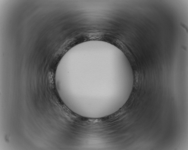 X0000103950667200809191212
