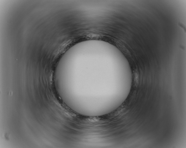 X0000103950668200809191212