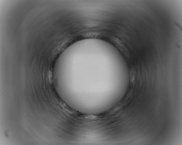 X0000103950669200809191212