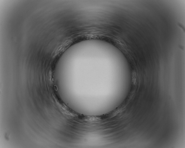 X0000103950670200809191212