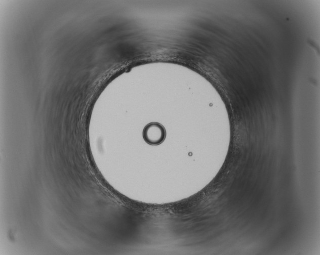 X0000103950673200809191211
