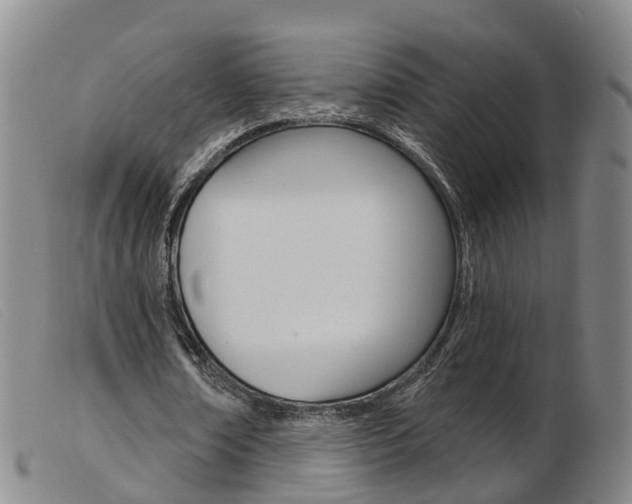 X0000103950674200809191211