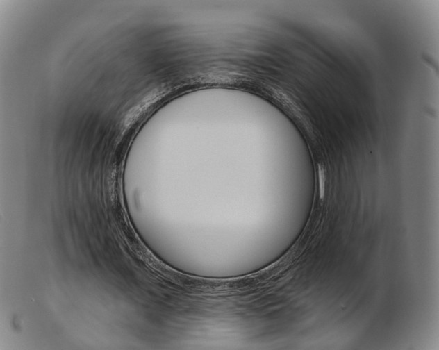 X0000103950675200809191211