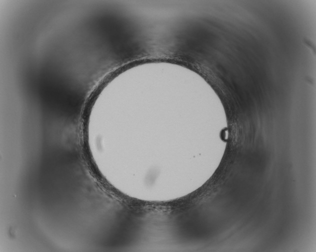 X0000103950676200809191211