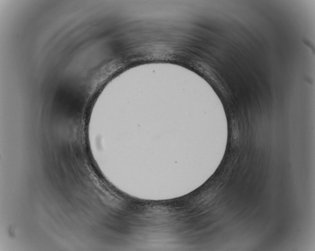 X0000103950677200809191211