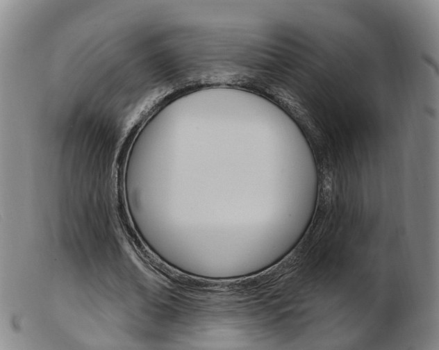 X0000103950678200809191211