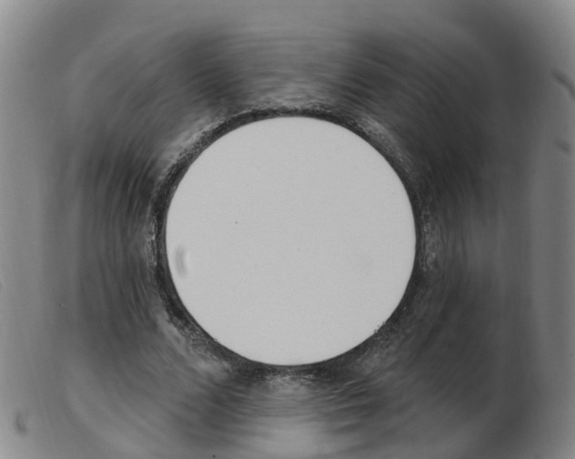 X0000103950680200809191211