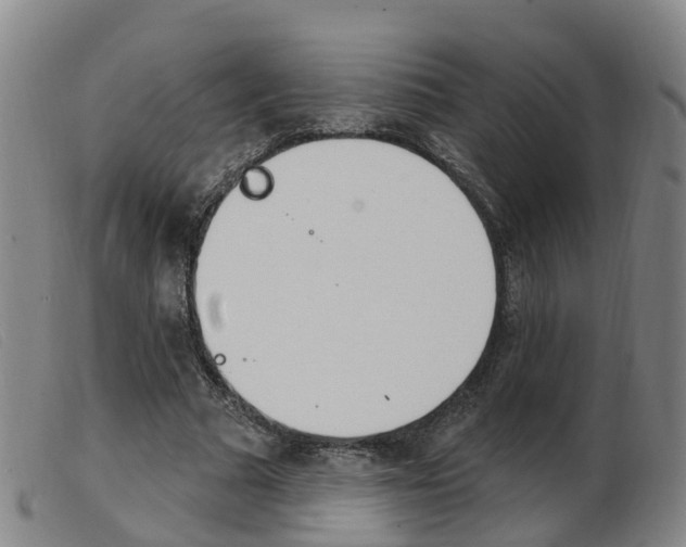X0000103950681200809191211