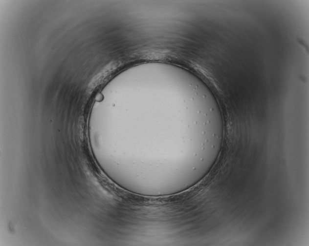 X0000103950682200809191211