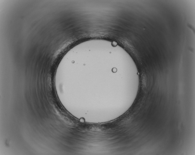 X0000103950684200809191211