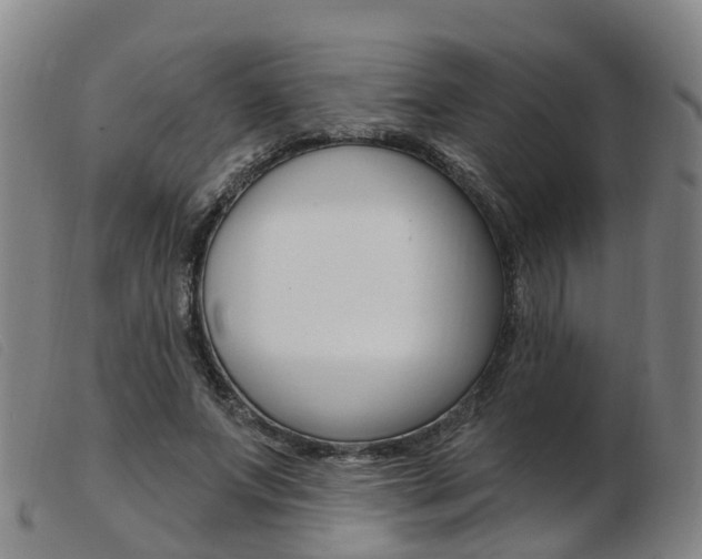 X0000103950687200809191211