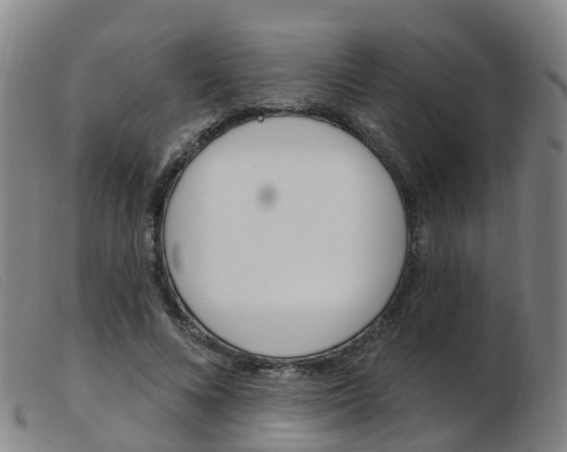 X0000103950688200809191211