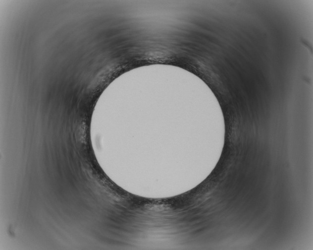 X0000103950689200809191211