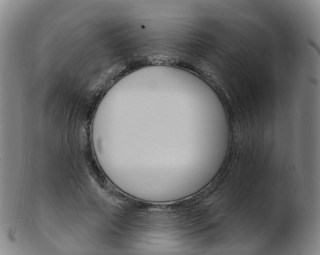 X0000103950690200809191211