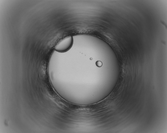 X0000103950691200809191211
