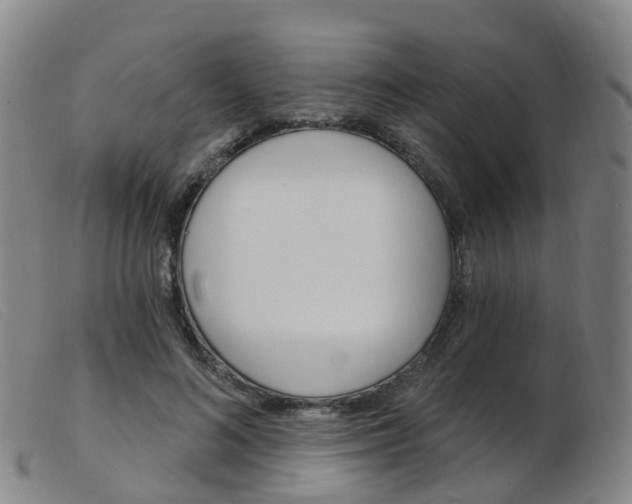 X0000103950692200809191211
