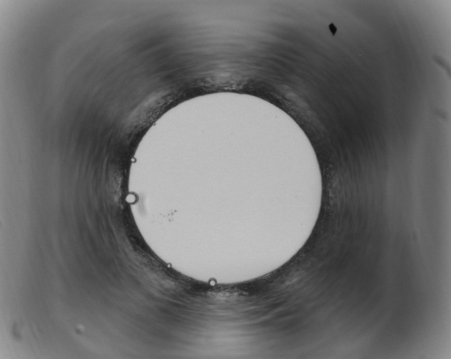 X0000103950693200809191211