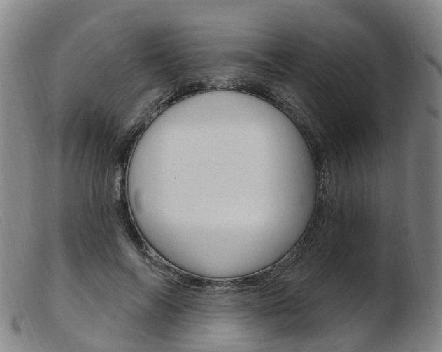 X0000103950694200809191211