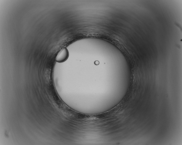 X0000103950695200809191211