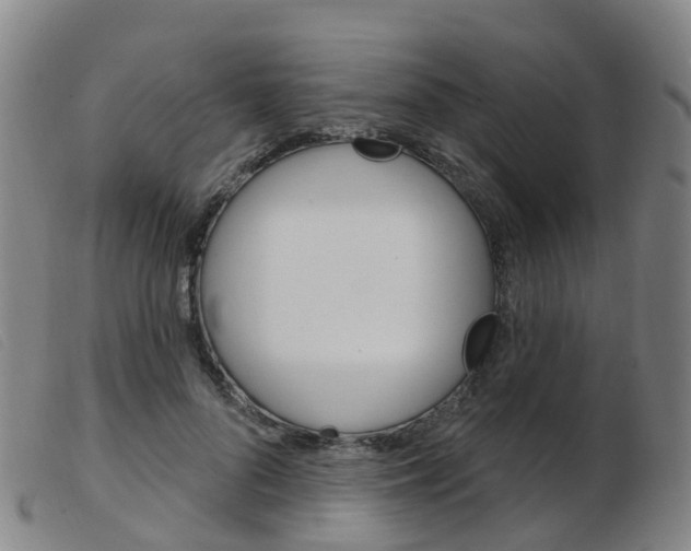 X0000103950696200809191211