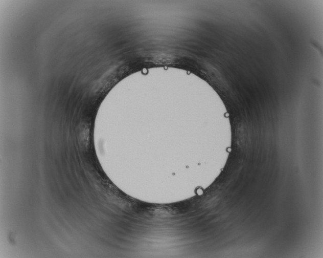 X0000103950697200809191211