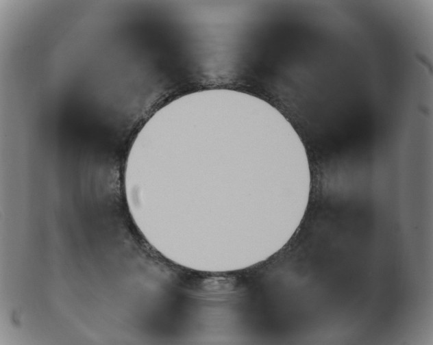 X0000103950700200809191211