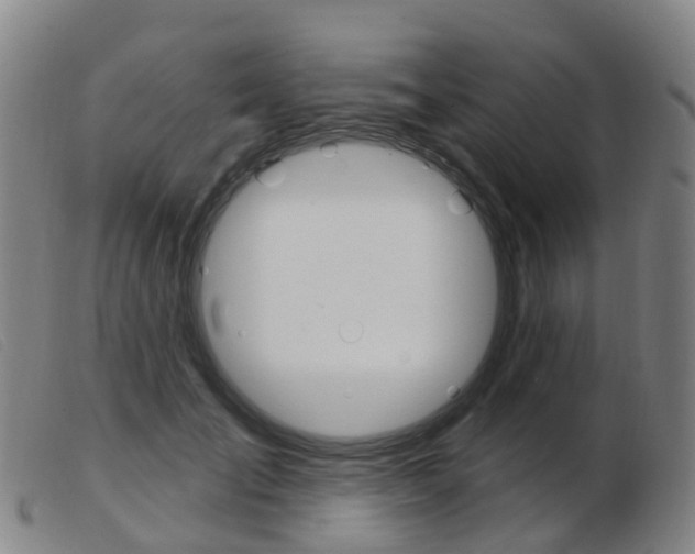 X0000103950701200809191211